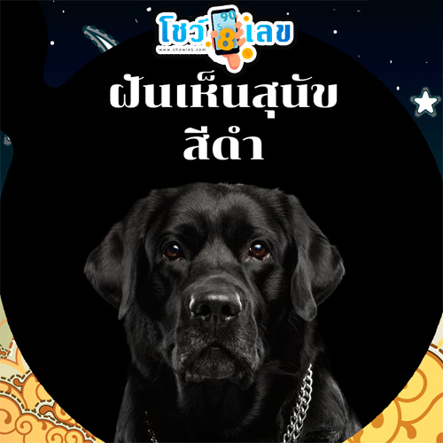 ฝันเห็นสุนัขสี ดํา 1 ตัว