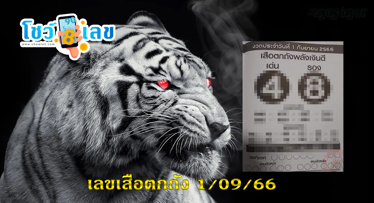 เลขเสือตกถัง 1/09/66 คอหวยไม่ควรพลาด! เปิดเลขเด็ด