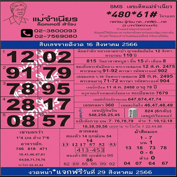 เลขแม่จำเนียร 16 8 66