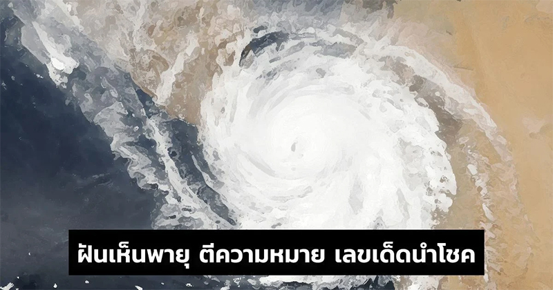 ฝันเห็นพายุหมุนงวงช้าง เลขเด็ด