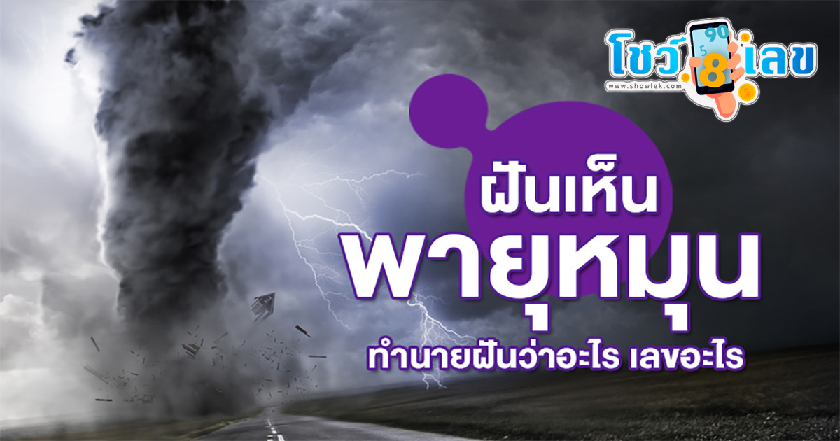 ฝันเห็นพายุหมุนงวงช้าง ทำนายฝัน เลขเด็ด โชคลาภในการเสี่ยงดวง ที่นี่