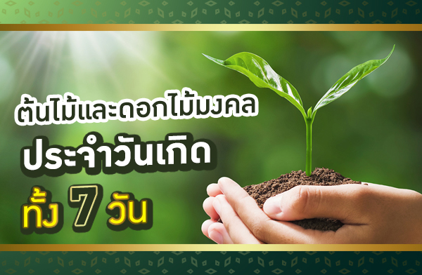 ต้นไม้มงคลประจำวันเกิด