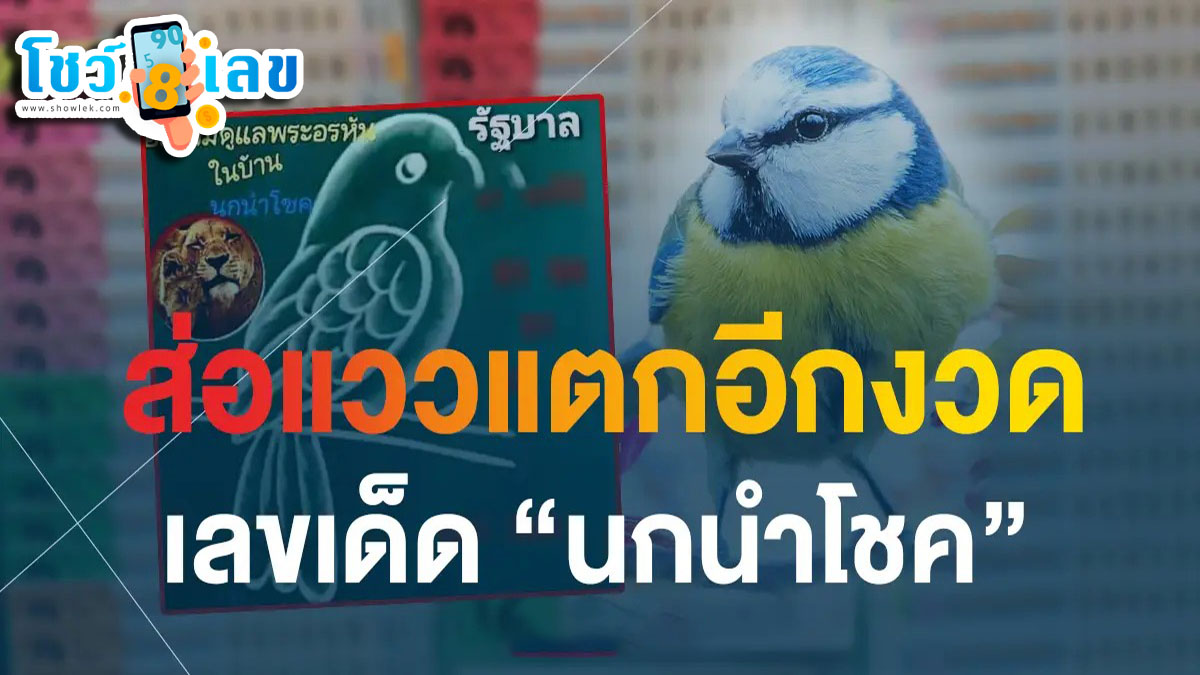 ส่องแนวทางรวย เลขเด็ด นกนำโชค หวยงวดนี้ 16 ส.ค.66 แจกเน้นๆ เลข 3 ตัว 2 ตัว สลากกินแบ่งรัฐบาล