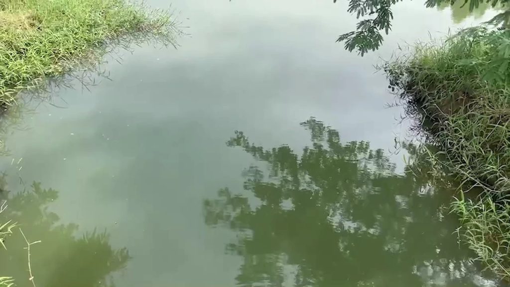 พระพุทธรูปมีเลขกำกับ-showlek