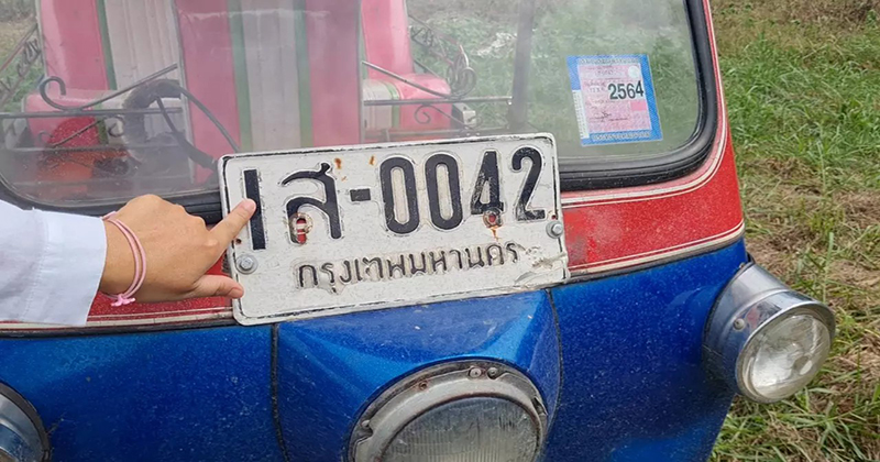 ส่องเลข จระเข้เผือก