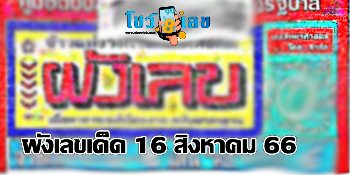 ผังเลขเด็ด 16 สิงหาคม 66  แนวทางหวยรัฐบาลไทย แม่นๆ แจกกันฟรีๆ