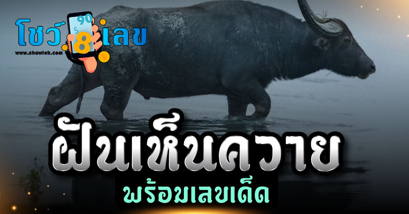 ฝันเห็นควายคลอดลูกแฝด