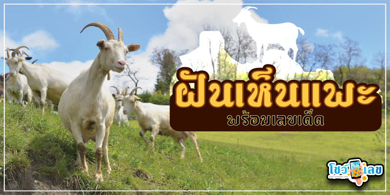 ฝันเห็นเพะ