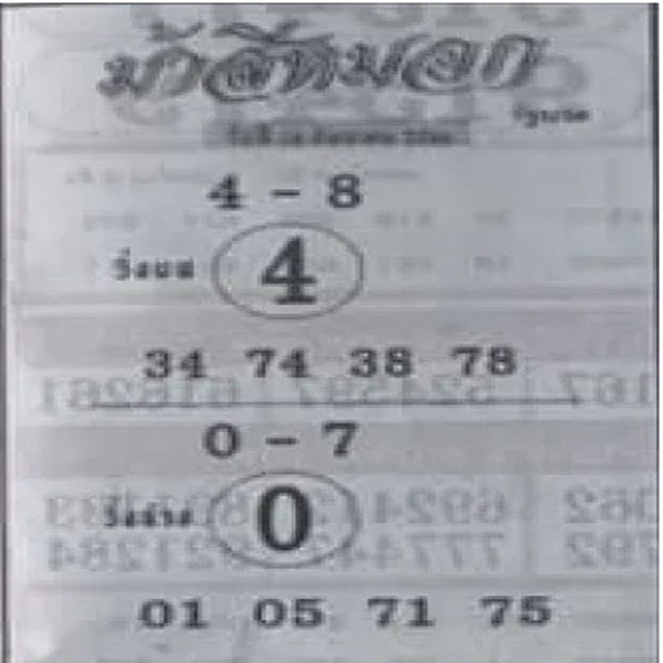 ม้าสีหมอก 16 9 66