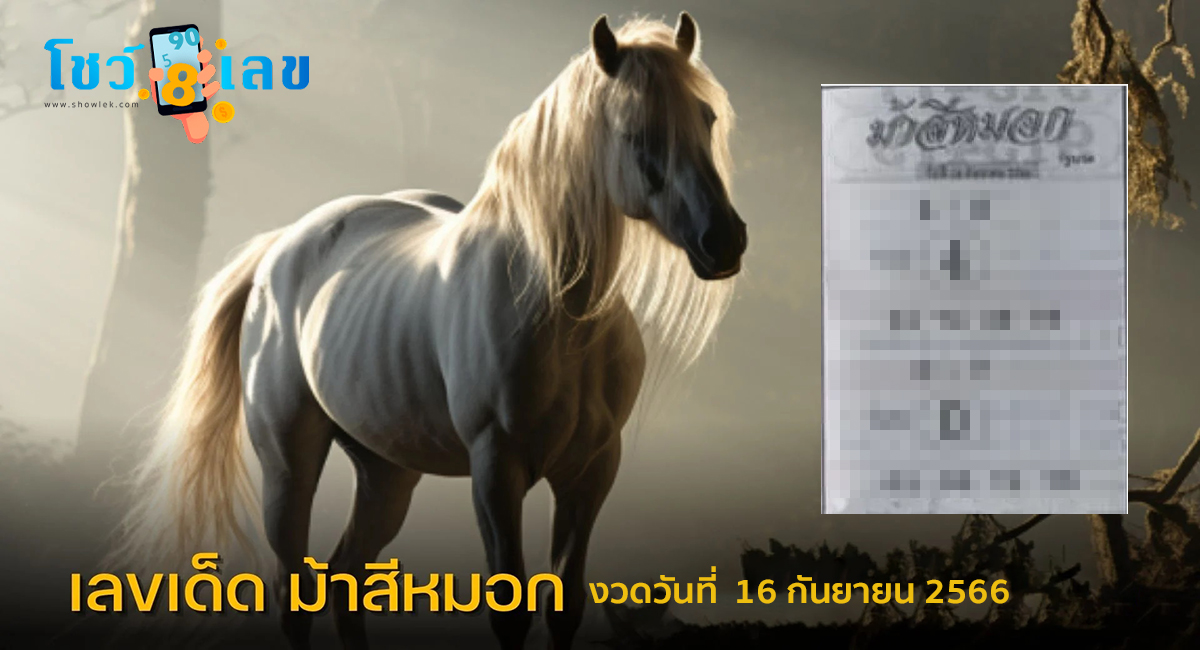 ม้าสีหมอก 16 9 66 เลขเด็ดมาแรง แนวทางสลากกินแบ่งรัฐบาลไทย