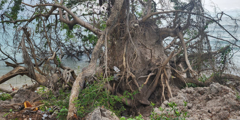 เลขเด็ด