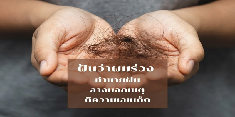 ฝันว่าผมตัวเองร่วงเป็นกระจุก