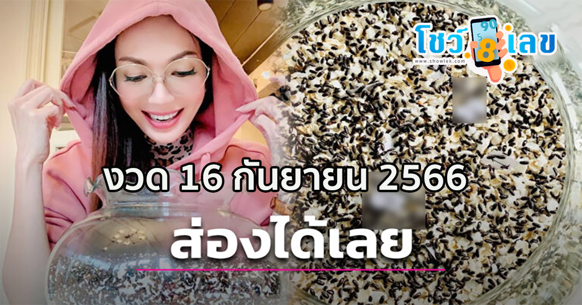 เลขกระดิ่งเงิน 16 9 66 เลขเด็ดมาแรง แนวทางสลากกินแบ่งรัฐบาลไทย ที่นี่