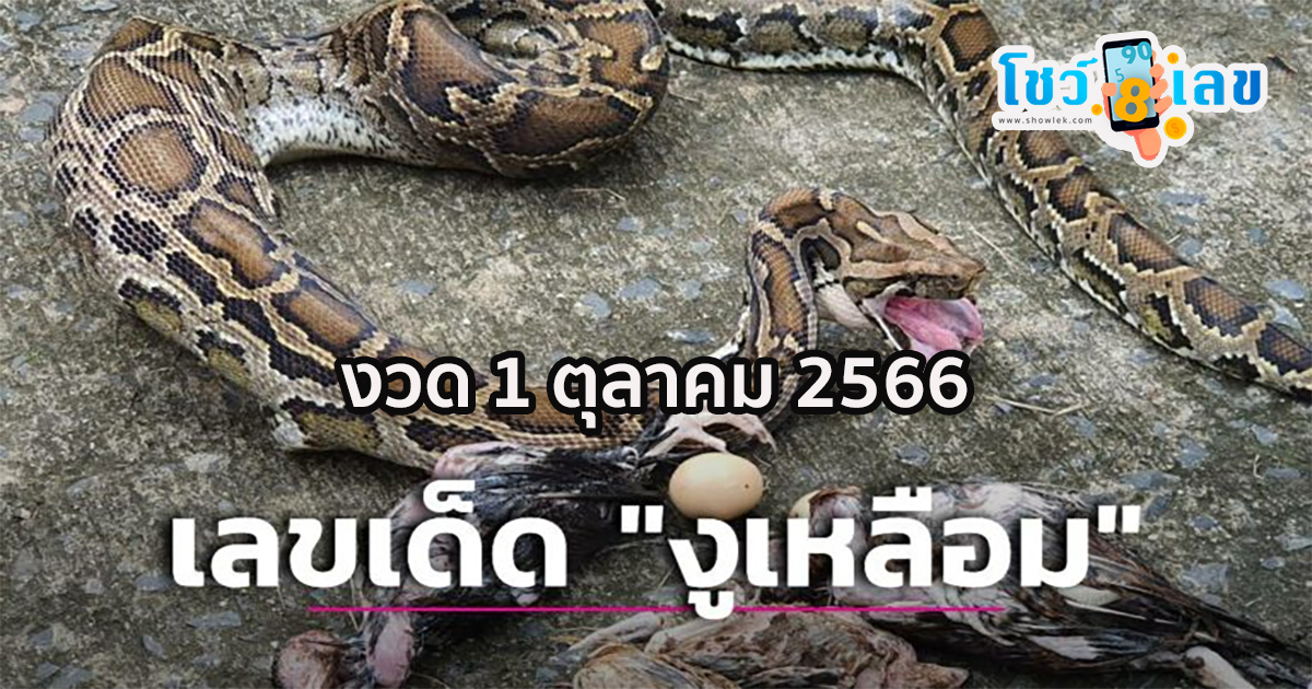 น้องงูเหลือม สายตาสุดเว้าวอน มากับน้ำท่วม เผย!! มาทีไรหวยออกเลขที่บ้านตลอด