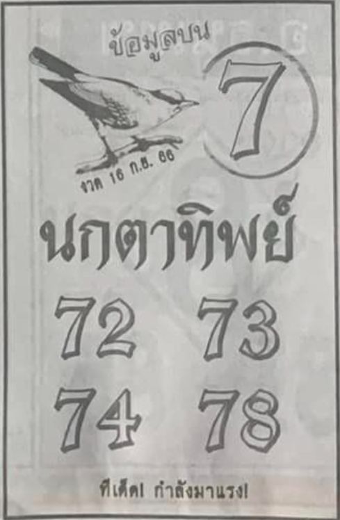 นกตาทิพย์ 16 9 66