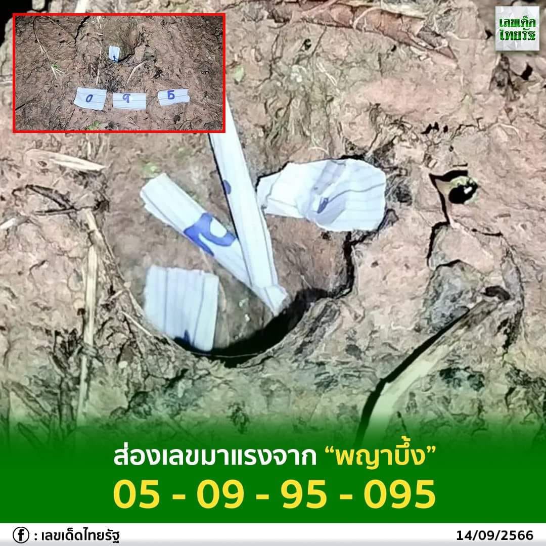 เลขพญาบึ้ง 16 9 66 