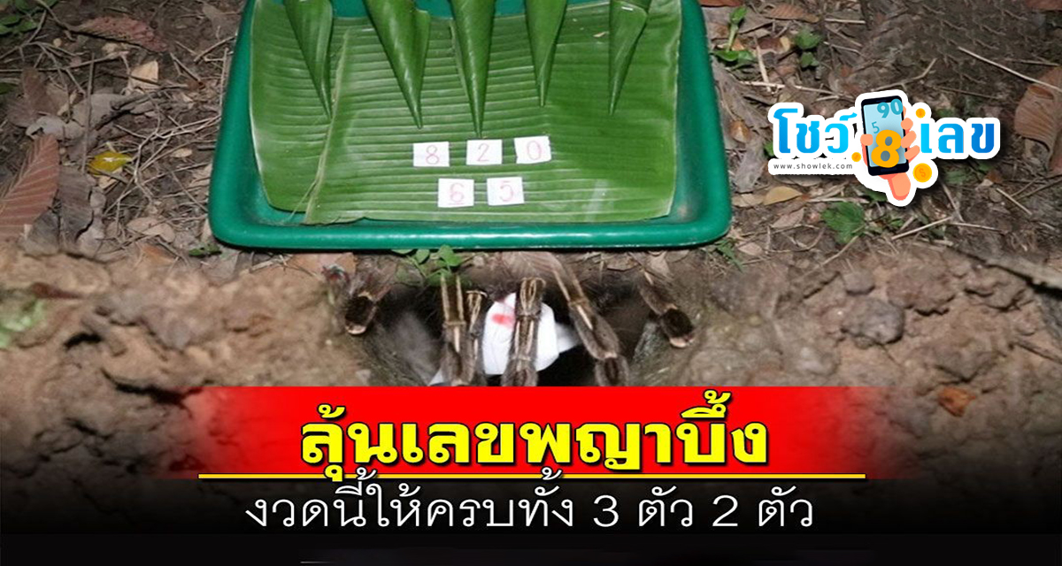 เลขเด็ดพญาบึ้ง แนวทางหวยรัฐบาลไทย คอหวยไม่ควรที่จะพลาดเลขเด็ด เลขดัง !