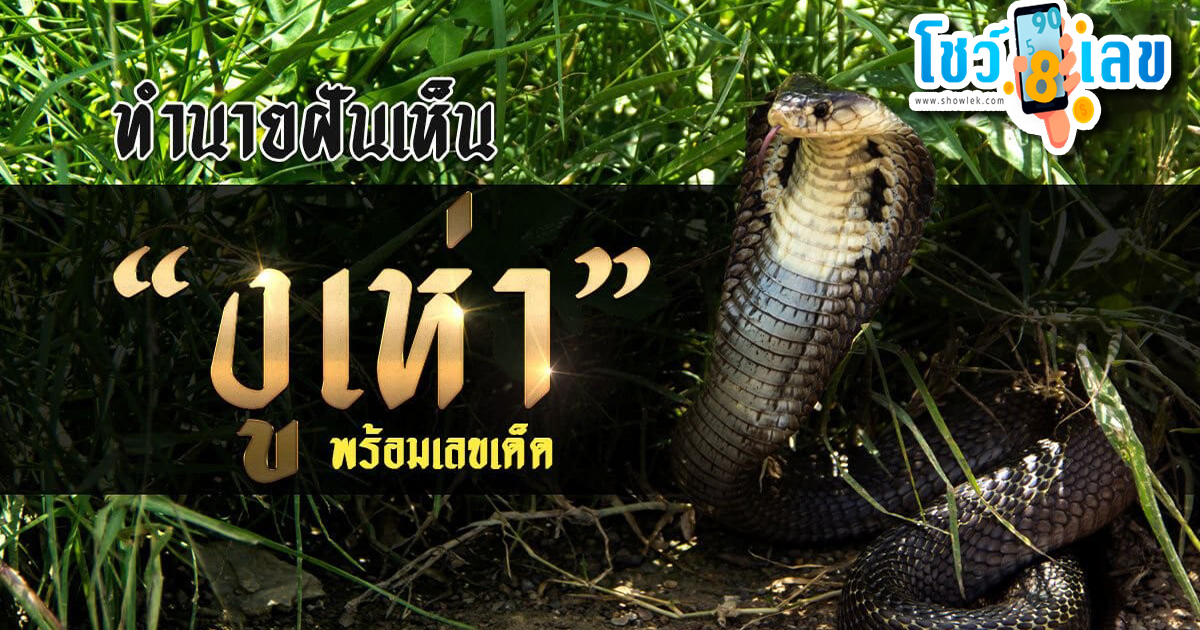 ฝันเห็นงูเห่า ทำนายฝันรวบรวมคำทำนายฝันเกี่ยวกับการ ฝันเห็นงู พร้อมเลขเด็ดแม่นๆ