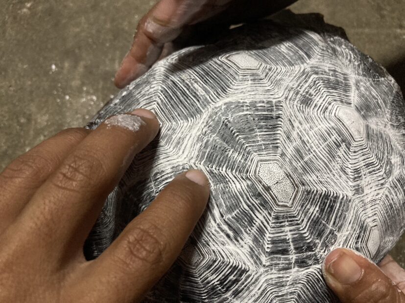 เจ้าไข่ต้มให้โชค