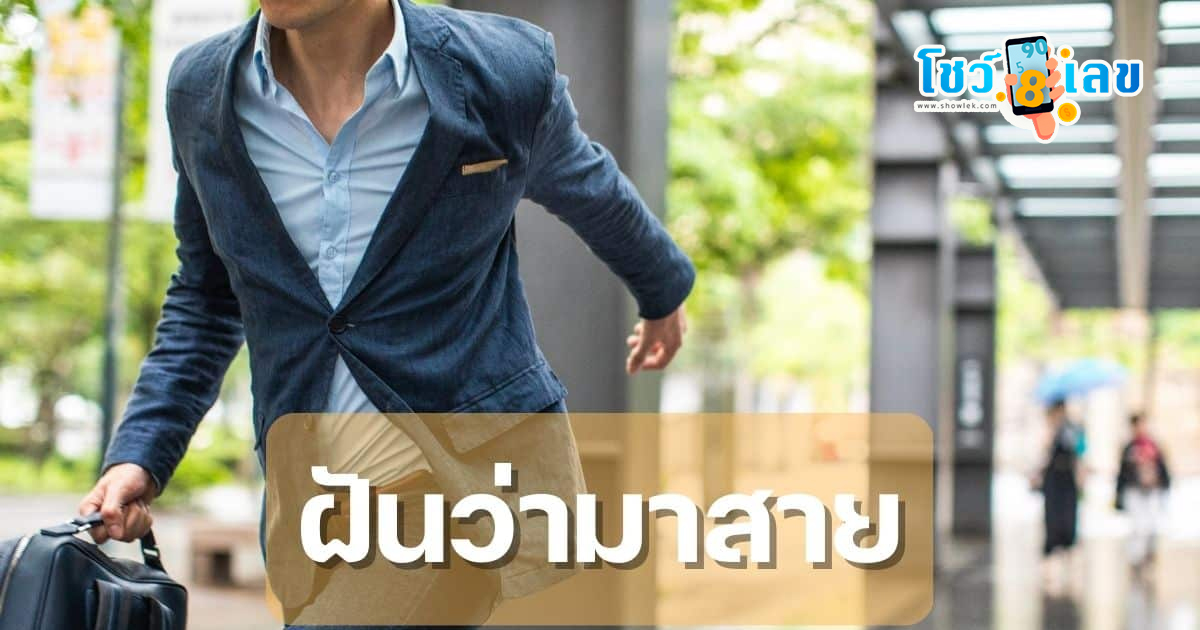 ฝันว่าไปโรงเรียนไม่ทัน ทำนายฝัน บอกความหมาย พร้อมตีเลขเด็ดนำโชค เสี่ยงดวงงวดนี้ ที่นี่
