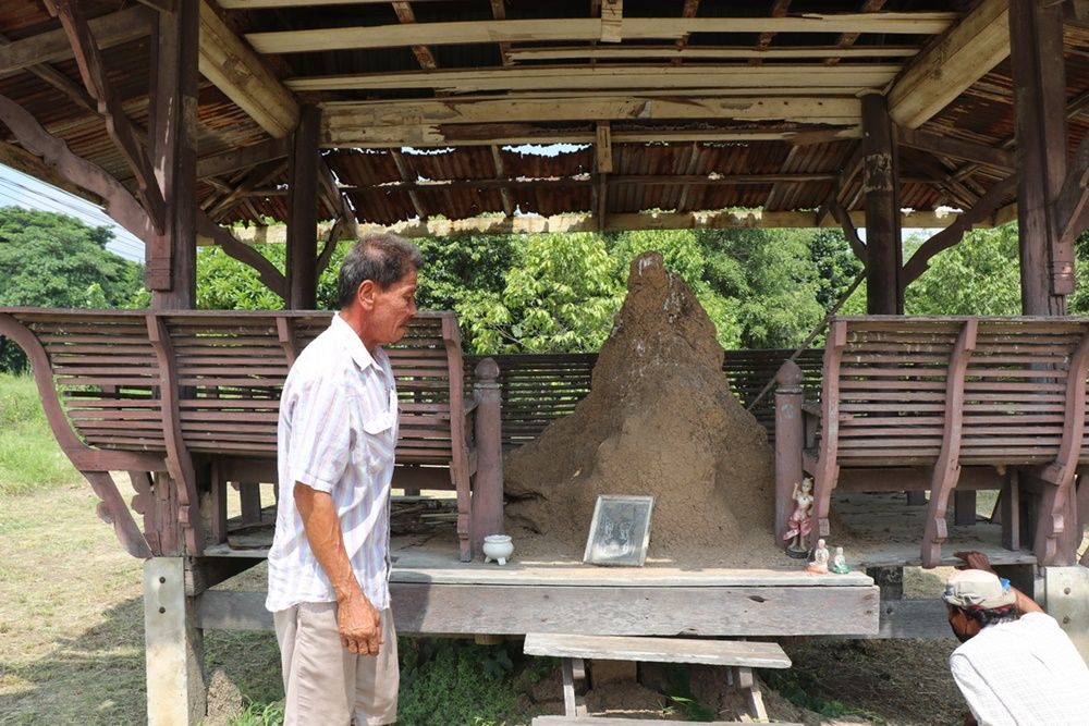 เลขเด็ด จอมปลวก- "Lucky number anthill"