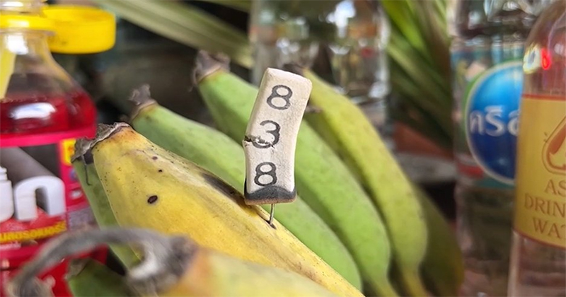 เลขเด็ดงวดนี้-"Lucky numbers for this period"
