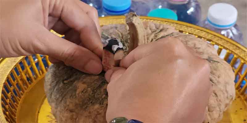 หมอฝันเห็นองค์ พระศิวะ ให้สร้างวัตถุมงคล-"The doctor dreamed of seeing Lord Shiva and asked him to create a sacred object."