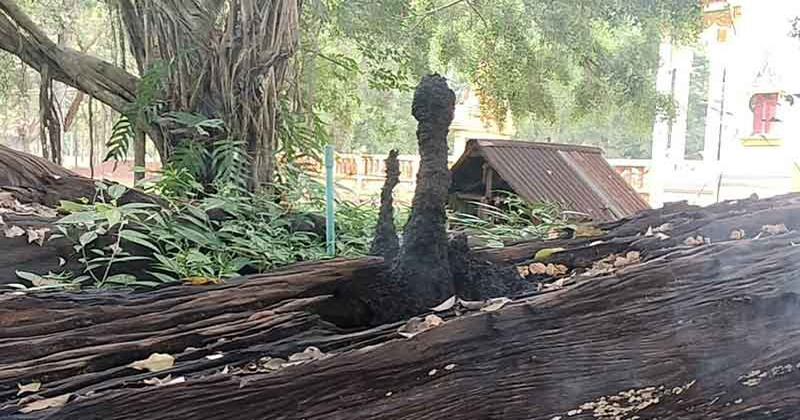 จอมปลวก2พี่น้อง