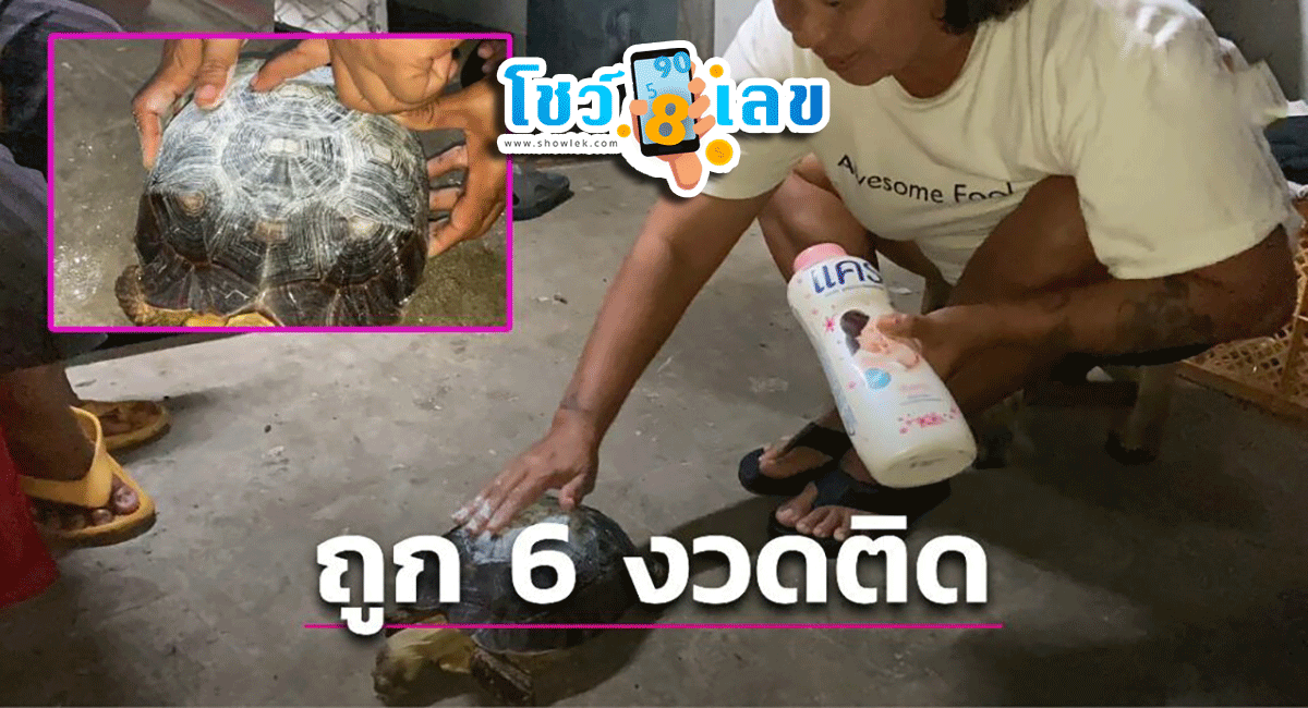 เจ้าไข่ต้มให้โชค ความหวังของหมู่บ้าน! คอหวยแห่กราบไหว้ “เจ้าไข่ต้ม” หลังให้โชคถูกหวย 6 งวดติด