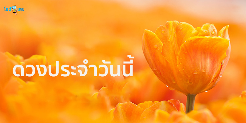 เช็กดวงวันนี้ 30 11 66-"Check your horoscope today 30 11 66"