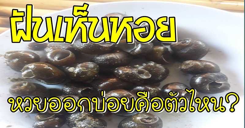 ฝันเห็นจับหอย-"Dream about catching shellfish"