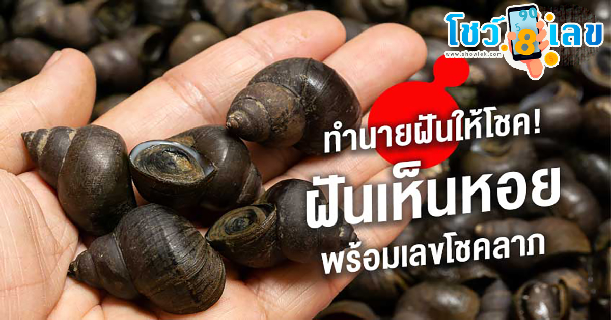 ฝันเห็นจับหอย ทำนายฝันแม่นๆ พร้อมเลขเด็ดให้นำไปลุ้นกันได้ ติดตามอ่านกันได้เลยที่นี่