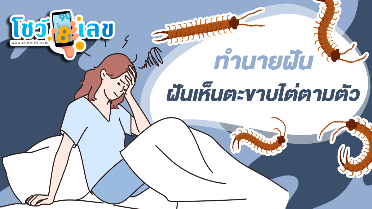 ฝันเห็นตะขาบไต่ตามตัว อ่านคำทำนายฝันหมายความว่าอย่างไร พร้อมเลขเด็ดให้โชค ได้ที่ showlek.com