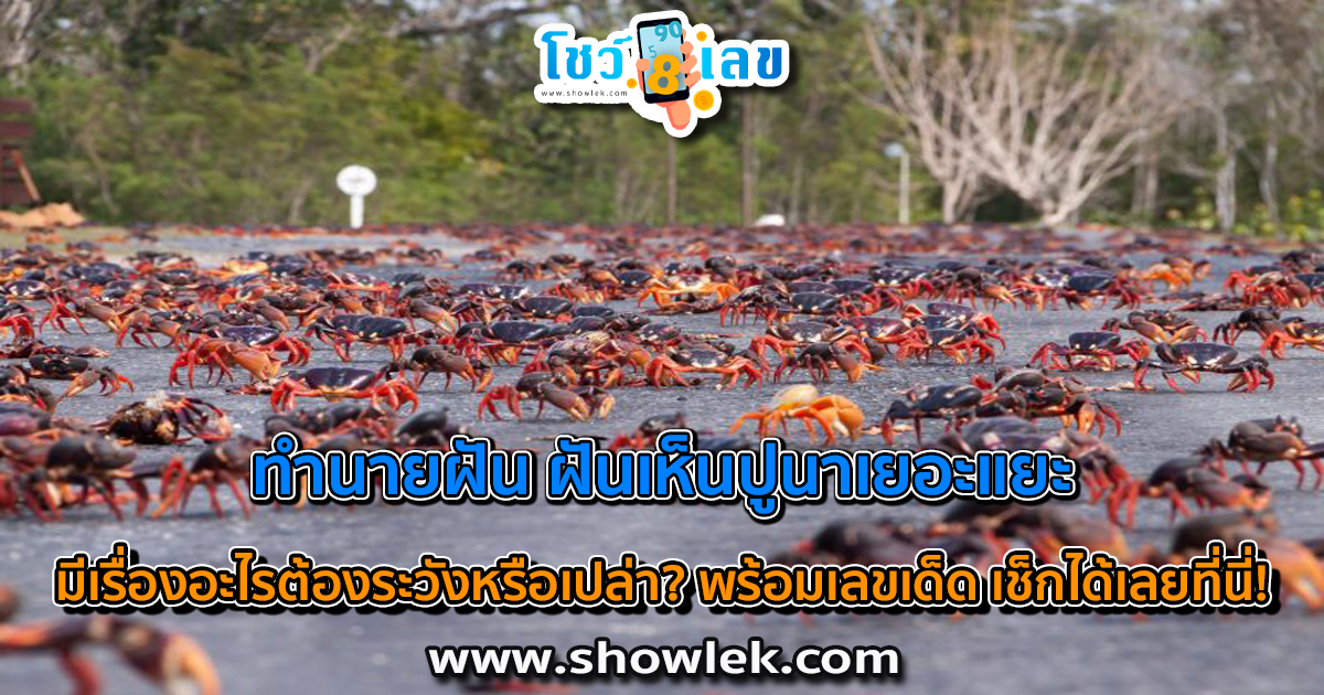 เปิดตำราทำนายฝัน ฝันเห็นปูนาเยอะแยะ ดีไหม มีเรื่องอะไรต้องระวังหรือเปล่า? พร้อมเลขเด็ด เช็กได้เลยที่นี่!