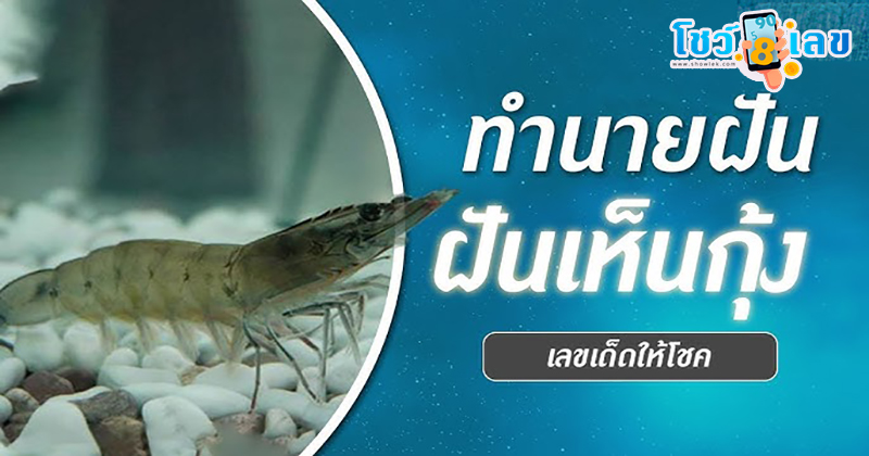 ฝันเห็นกุ้งเยอะมาก-"Dream of seeing a lot of shrimp"