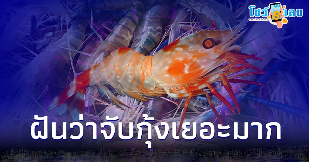 ฝันเห็นกุ้งเยอะมาก ฝันเห็นกุ้งเยอะมาก ทำนายฝันแม่นๆ พร้อมเลขเด็ดให้นำไปลุ้นกันได้ ติดตามอ่านกันได้เลยที่นี่