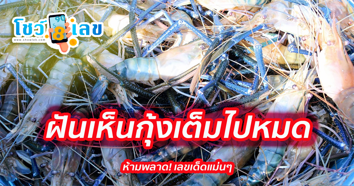 ฝันเห็นกุ้งเต็มไปหมด หมายความว่าอย่างไร พร้อมเลขเด็ด แม่นๆ ที่เกี่ยวกับความฝัน เช็กเลย!