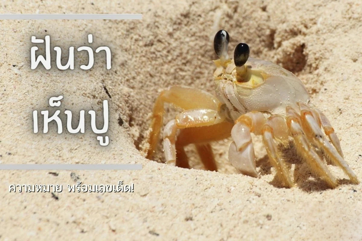 ฝันว่าได้จับปู เลขเด็ด - "Dreamed of catching a crab, lucky number."