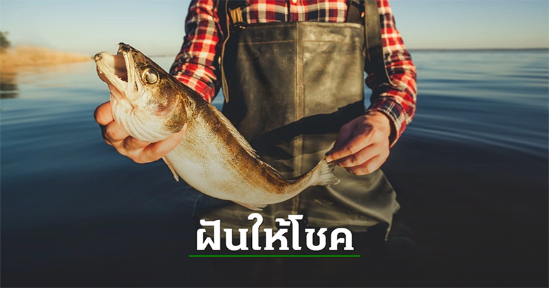 ฝันว่าได้จับปลาในทะเล-"Dreamed of catching fish in the sea"