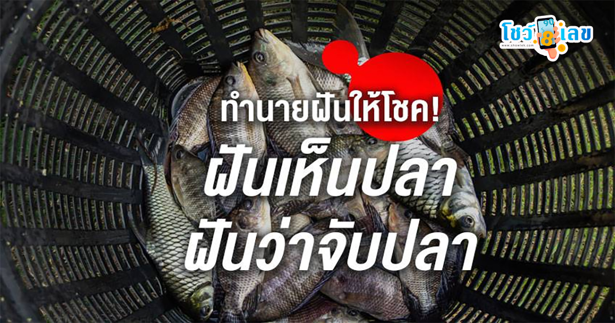 ฝันว่าได้จับปลาในทะเล ฝันเห็นปลาเยอะมาก 2566 หมายถึงอะไร เลขโชคลาภ เลขอะไร