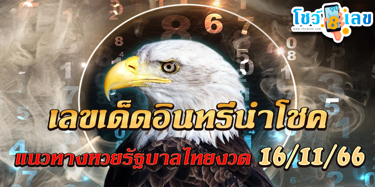 อินทรีนำโชค แนวทางหวยรัฐบาลงวดวันที่ 16 พฤศจิกายน 2566 คอหวยห้ามพลาด แนวทางแม่นๆรีบจดด่วน