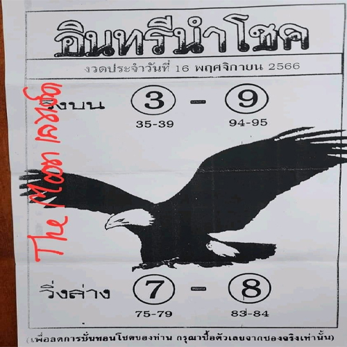อินทรีนำโชค 16 11 66-"Lucky Eagle"
