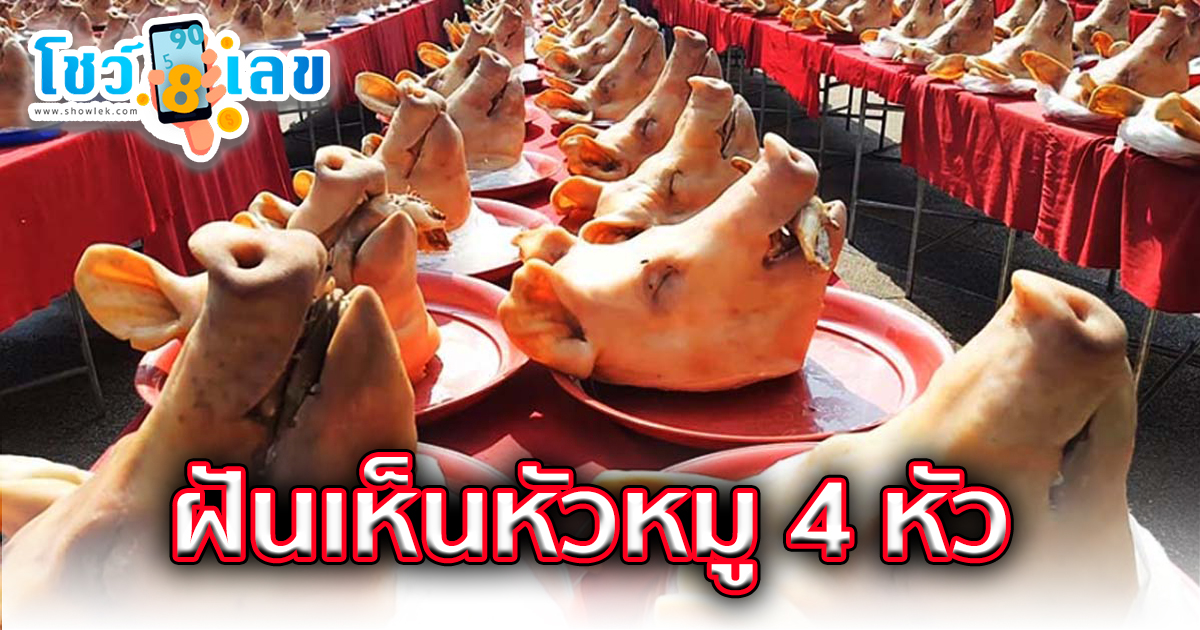ฝันเห็นหัวหมู 4หัว บอกความหมายว่าอย่างไร? ทำนายความฝัน ตีเลขเด็ดนำโชค แม่น ๆ ที่นี่ showlek.com