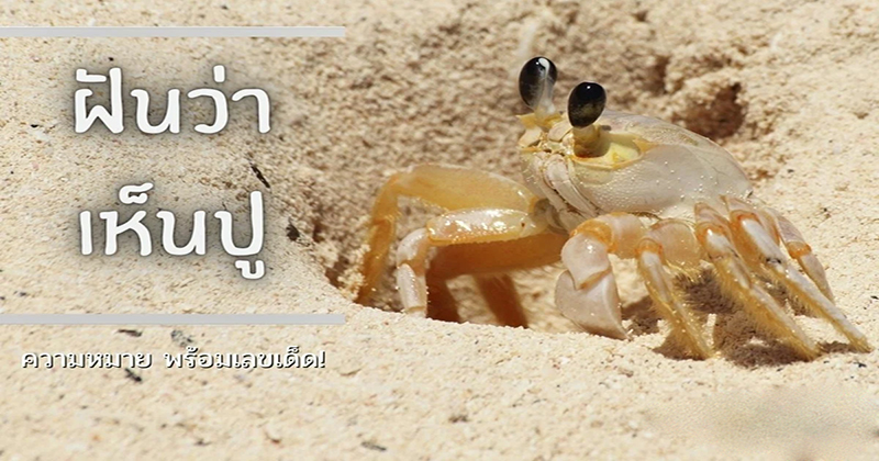 ฝันเห็นปู 1 ตัว-"Dream of seeing a crab"