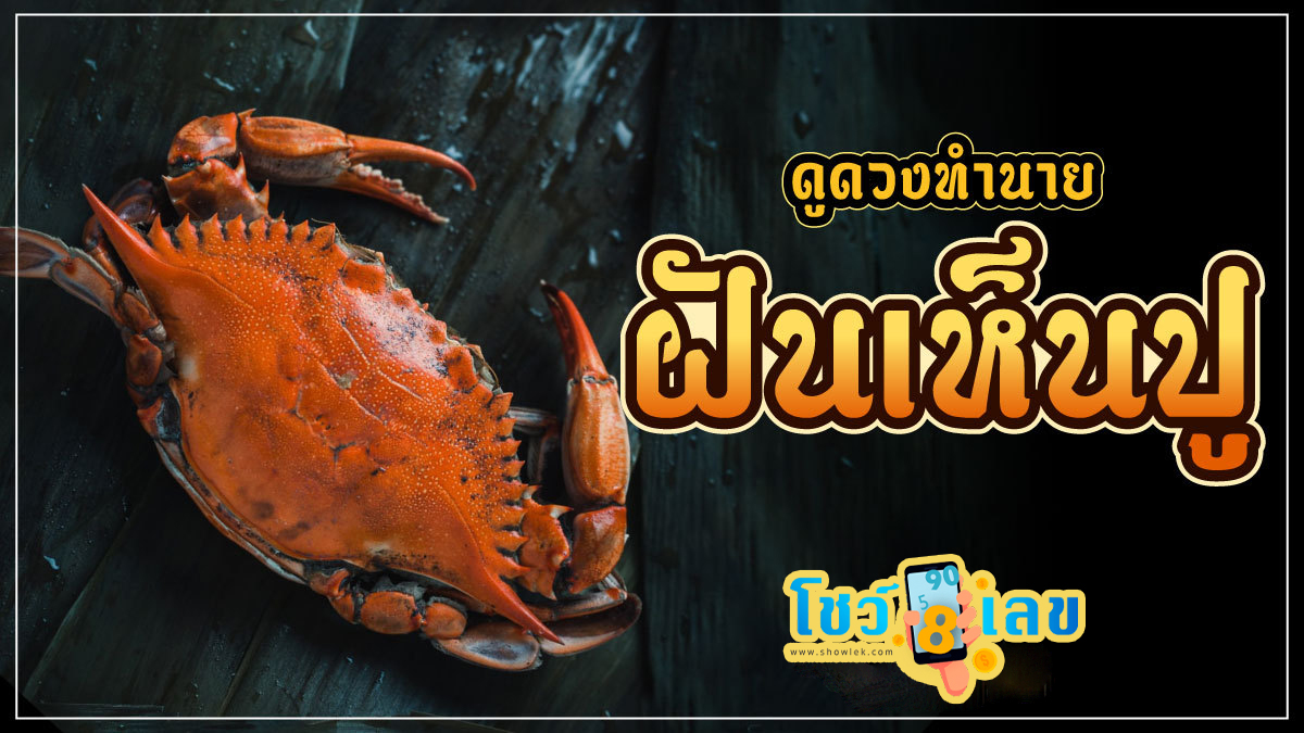 ฝันเห็นปู 1 ตัว ฝันเห็นปู ทำนายฝัน พร้อมเลขเด็ดนำโชค ฝันเห็นปู ทำนายความฝัน พร้อมเลขเด็ดนำโชค ติดตามที่นี่ได้เลย