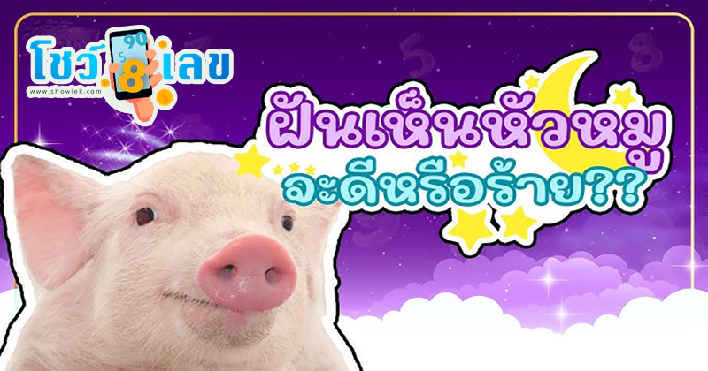 ฝันเห็นหัวหมูแก้บน-"Dream of seeing a pig's head make a vow"
