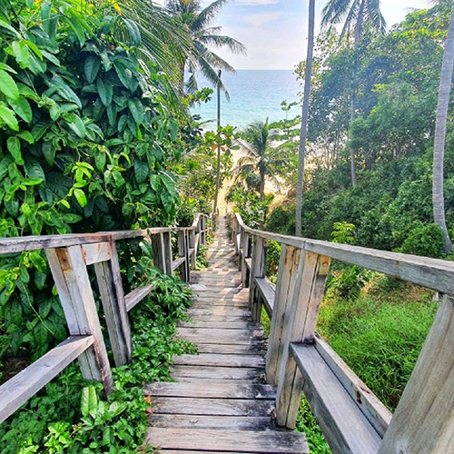 ฝันเห็นสะพานไม้ข้ามคลอง - "Dream of seeing a wooden bridge crossing a canal"