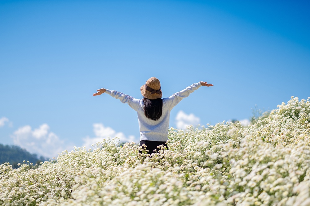 ฝันเห็นดอกไม้เต็มไปหมด-''Dream of seeing flowers lucky numbers''