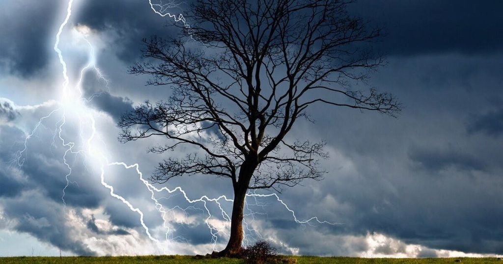 ฝันเห็นฟ้าผ่าต้นไม้-"Dreaming of seeing lightning, trees, lucky numbers"