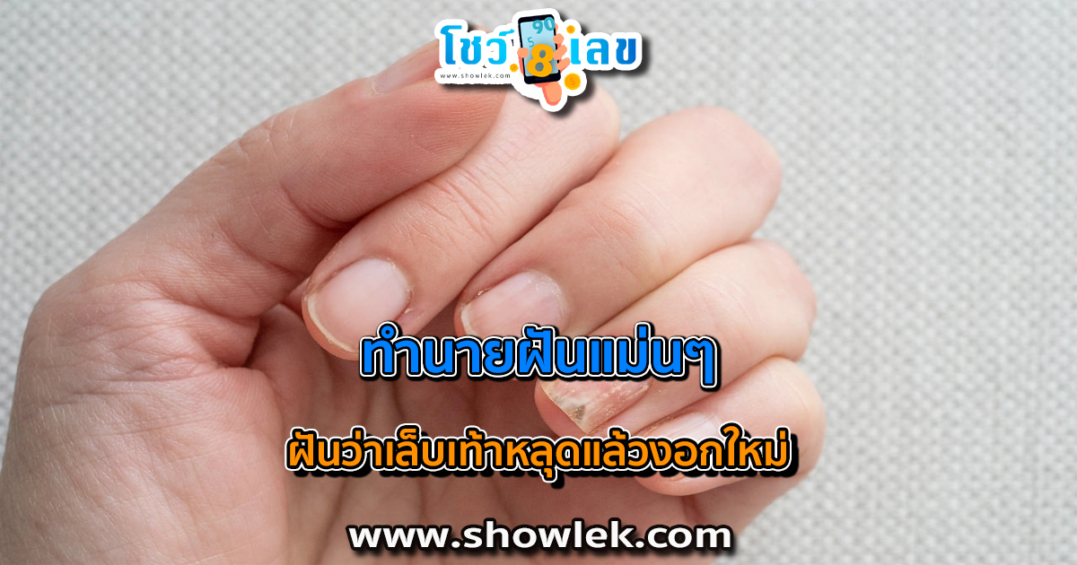 เปิดตำราทำนายฝัน ฝันว่าเล็บเท้าหลุดแล้วงอกใหม่ ดีไหม มีเรื่องอะไรต้องระวังหรือเปล่า? พร้อมเลขเด็ด เช็กได้เลยที่นี่!